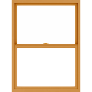 Single Hung Window